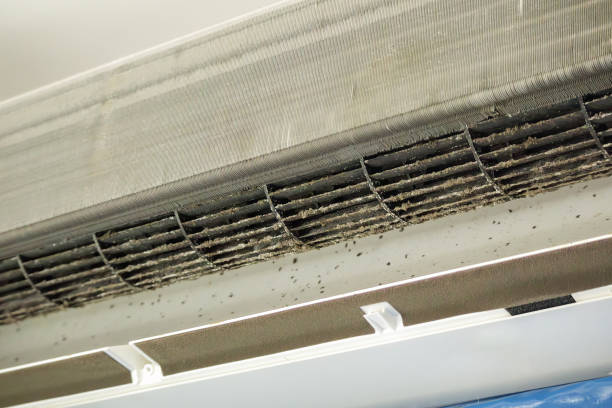 Best Affordable Air Duct Cleaning  in Spring City, PA
